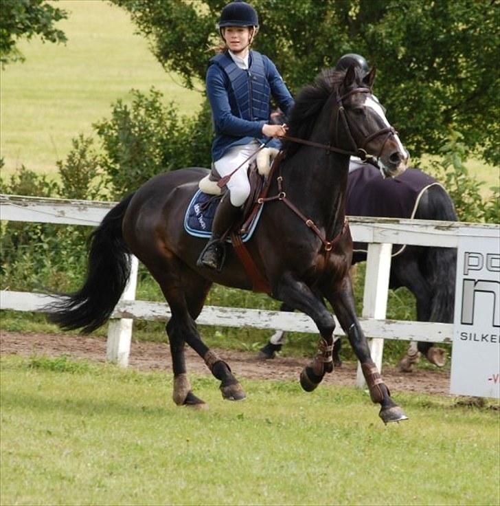 Irsk Sportspony Top Bacardi - SOLGT - MB til Silkeborg landsstævne, nul og første uplac. :) Foto: Annika billede 16