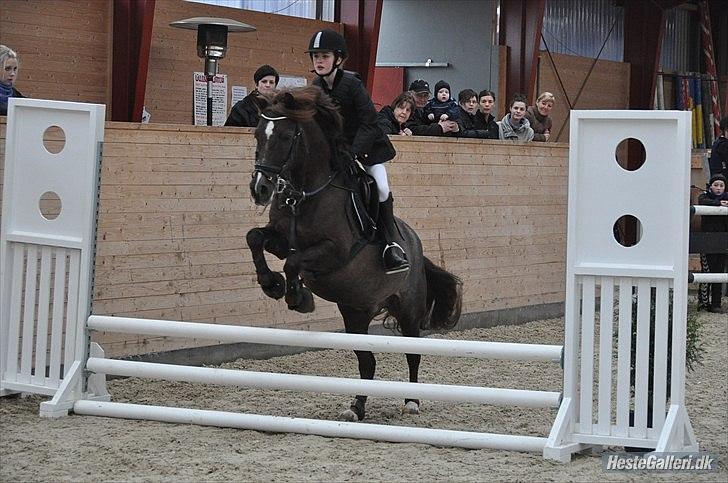 Anden særlig race Picasso - En stolt Emma med Picasso billede 2