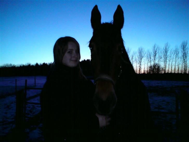 Anden særlig race Chasiopia billede 10