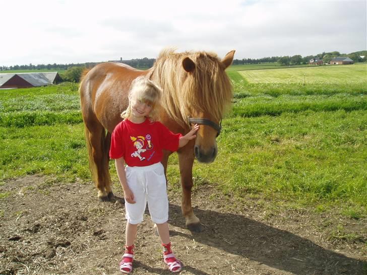 Islænder Lady (død) - anne mette og lady <3 billede 14