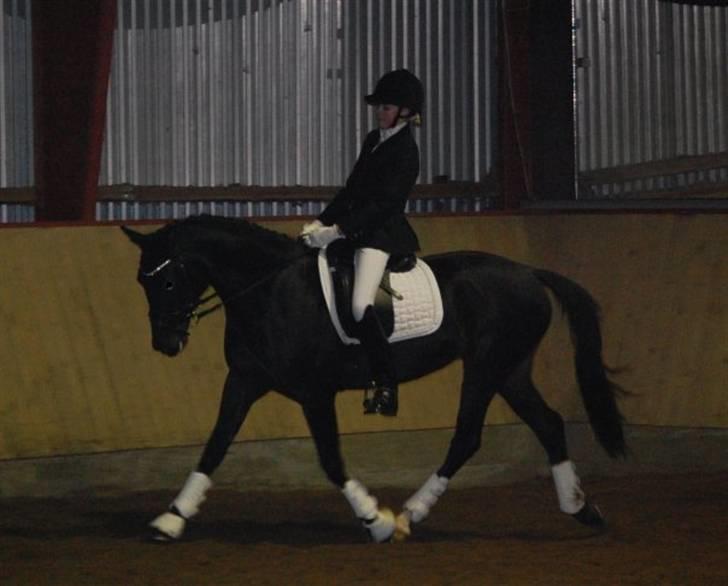 Tysk Sportspony Westendorf Harmonie *B-Pony* - Hamse og mig til stævne på Solrød i en fin trav :) Vi red LC1 og fik 69,58% :D  billede 19