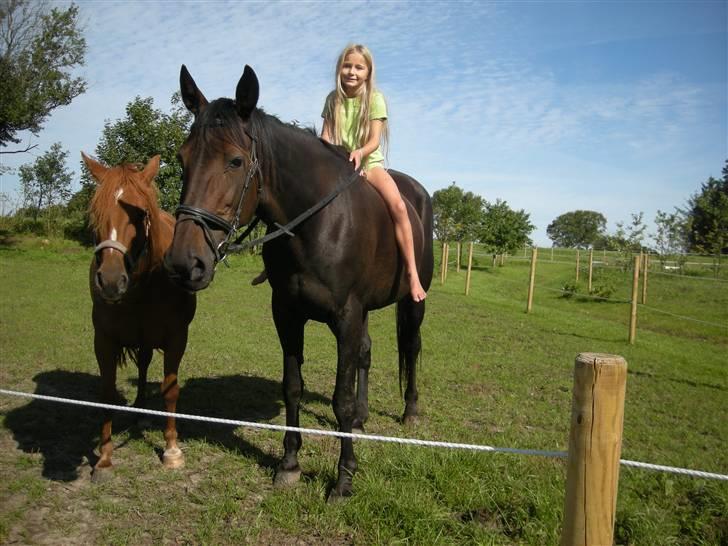 Traver greedyness - mig på dejlige greedyness;) billede 1