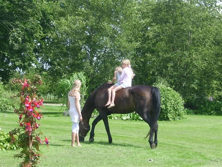 Traver greedyness - mig og min veninde simone da vi var små og dejlige Gredyness man altid kan stole på uden set om hun er ens egen hest:) billede 2