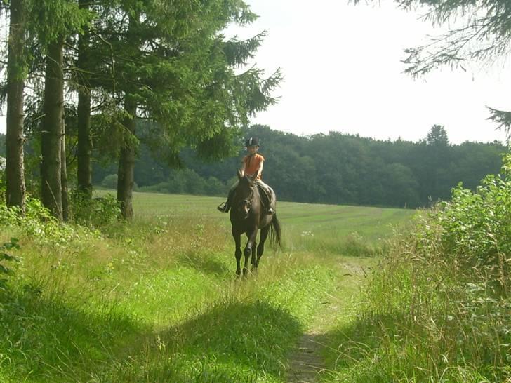 Traver greedyness - rider på skov vejen:) billede 4