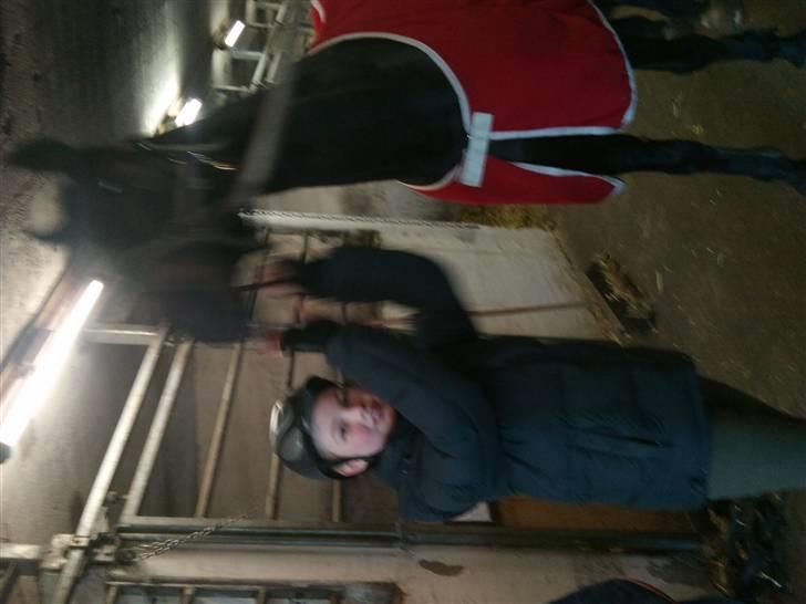 Westfaler Pour Plasir billede 9