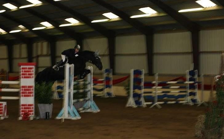 Westfaler Pour Plasir - Taget af Bodil Gabelgaard billede 11