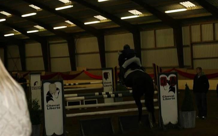 Westfaler Pour Plasir - Taget af Bodil Gabelgaard billede 12