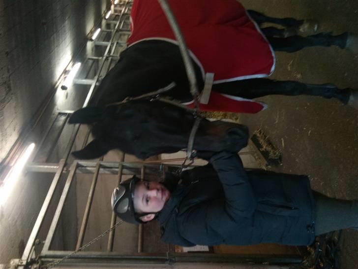 Westfaler Pour Plasir billede 15