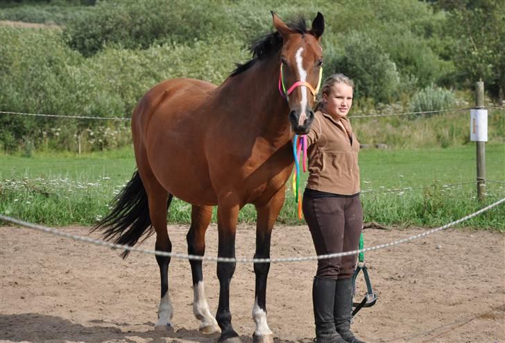 Mecklenburger Mercy 19 [Himmelhest] - Mercy og Ninna, August 2009. Foto: Mig. billede 11