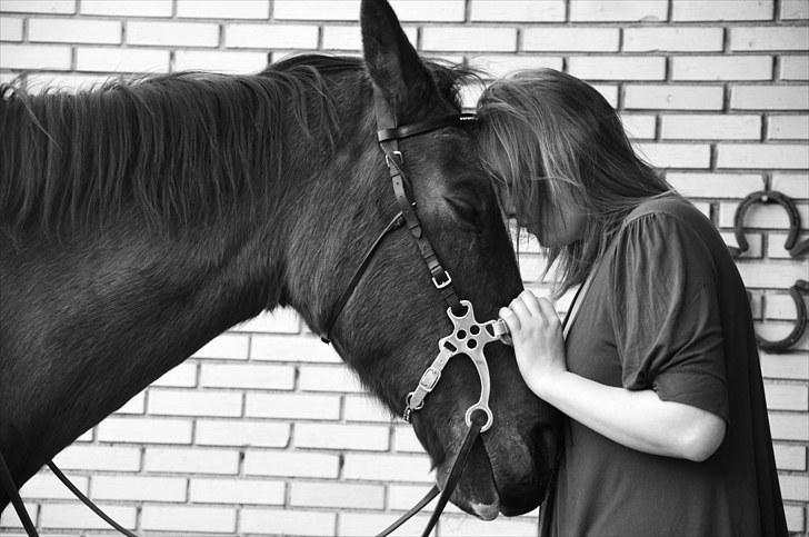 Mecklenburger Mercy 19 [Himmelhest] - Mercy og Jeg. Jeg elsker dig utrolig højt hest <3 Maj 2010. Foto : Chris billede 15