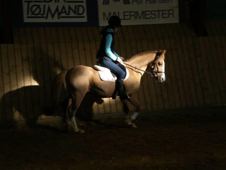 Anden særlig race Prettyboy Findus (LÅNTE)  - træning d. 06/03-2010.  taget af: mona .  billede 15