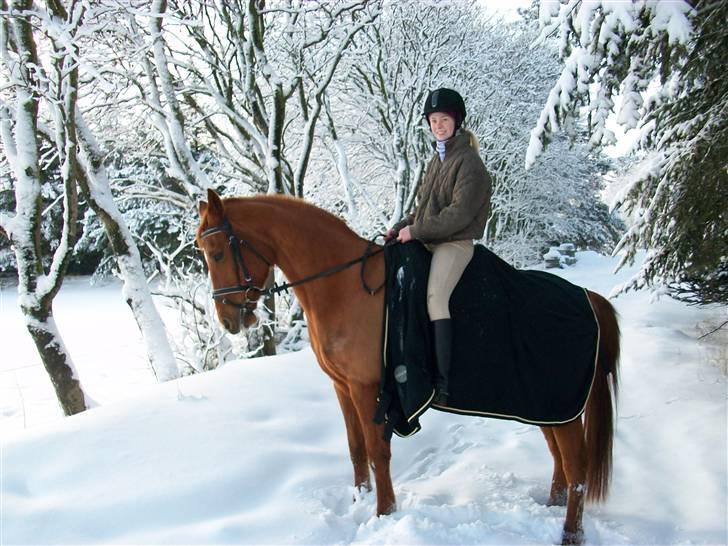 Anden særlig race Eddy - Mig og Eddy i sneen :;D billede 16