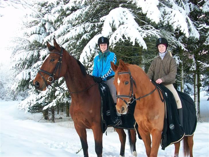 Anden særlig race Eddy - Eddy&jeg og Tortellini&Mette:D<3 billede 17