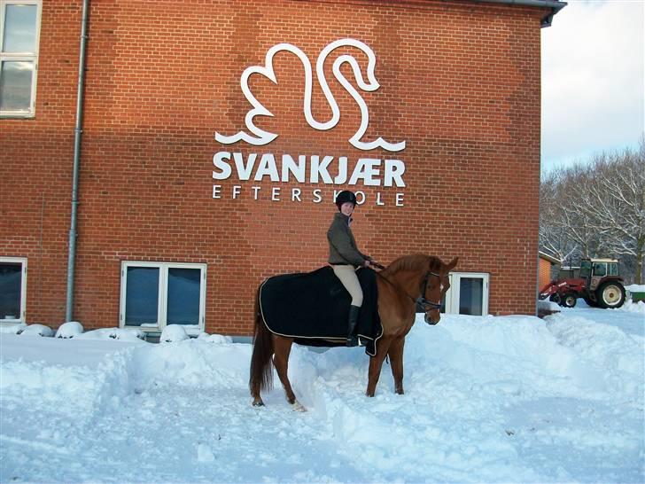 Anden særlig race Eddy - Svankjær Efterskole :D billede 18