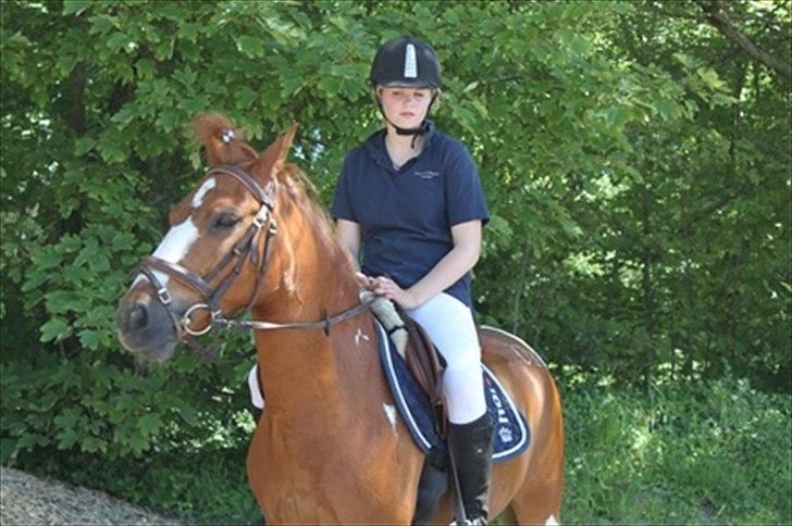 Pinto Jackpot <3 - Ponygames <3 billede 12