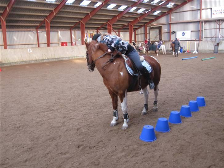 Pinto Jackpot <3 - <3 billede 13