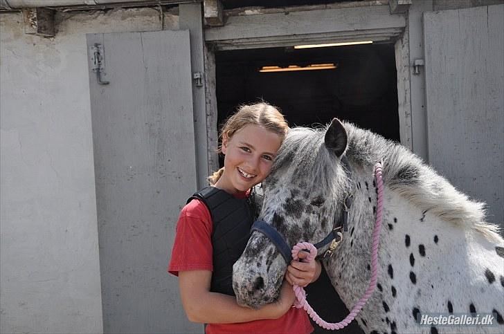 Knabstrupper Asterix<3 - Fordi vi hører sammen:) Og det vil vi altid gøre<3 Foto: Emilie billede 7