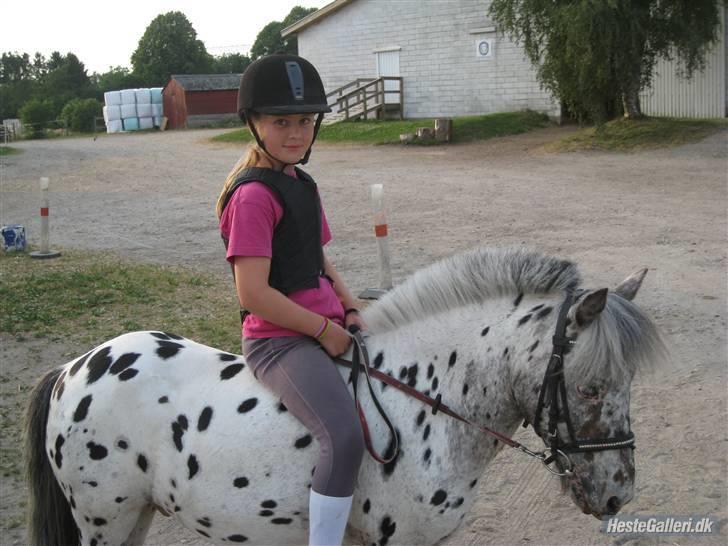 Knabstrupper Asterix<3 - Fordi jeg stoler på dig<3 Foto: Ida billede 12