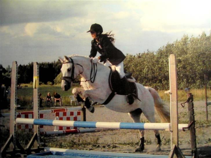 Anden særlig race Miranda - springer på ridelejer billede 1