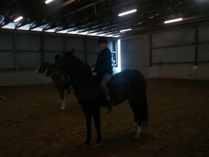 Anden særlig race Fleur<3 [Tidl. part ;( ] - Fleur og mig, uden saddel:D billede 1