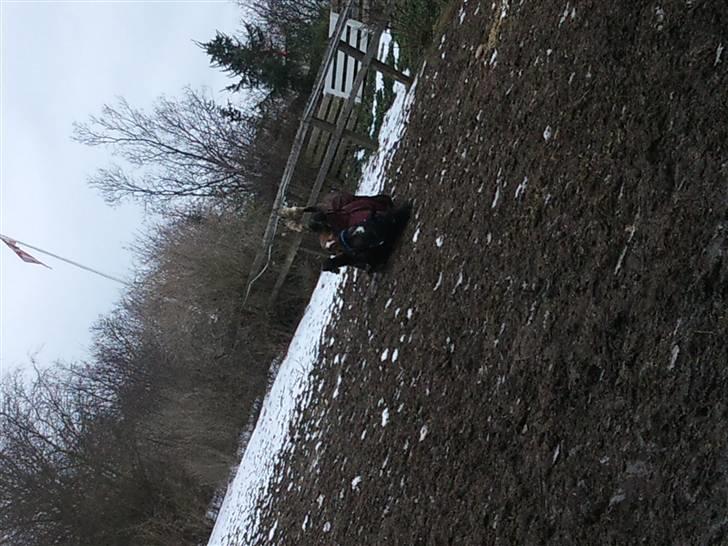 Anden særlig race Fleur<3 [Tidl. part ;( ] - På fold<3. billede 3