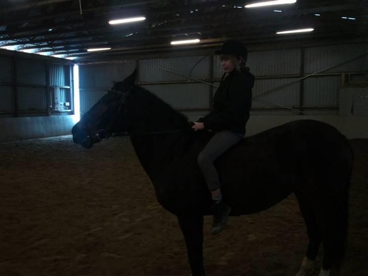 Anden særlig race Fleur<3 [Tidl. part ;( ] - Igen uden sadden:D billede 4