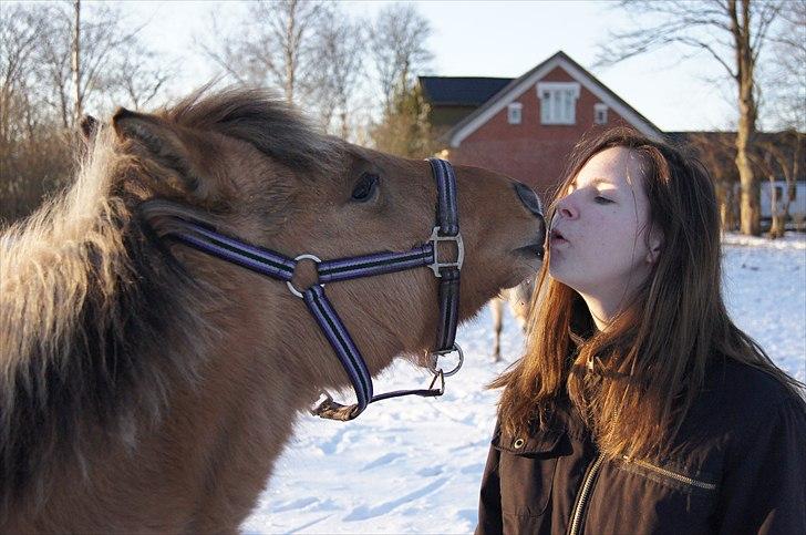 Anden særlig race Prinsesse Luna SOLGT - Puste på hinanden og derefter kysser hun mig <3 Fotograf: Frederieke billede 13