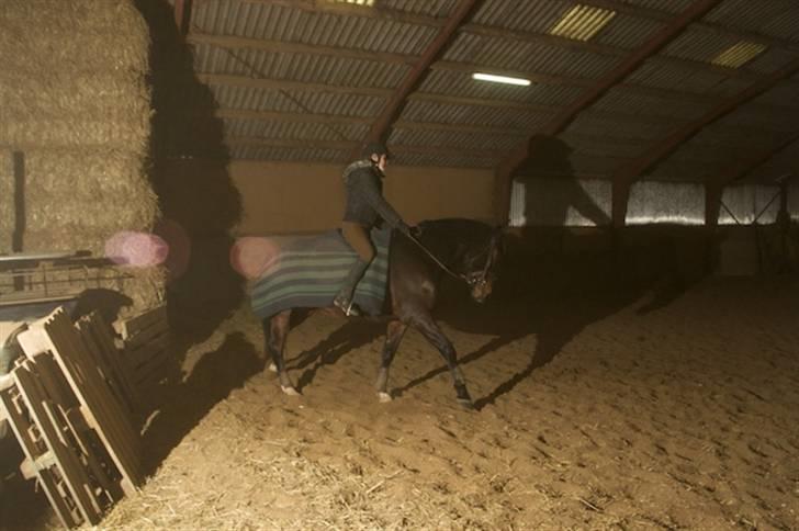 Dansk Varmblod Santiana - SOLGT! - Ridning billede 14