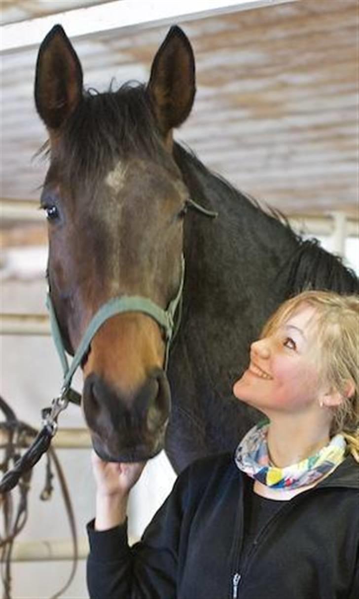 Dansk Varmblod Santiana - SOLGT! - Store hest (: billede 15