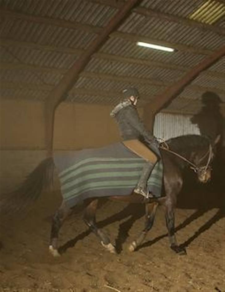 Dansk Varmblod Santiana - SOLGT! - Ridning (: billede 17