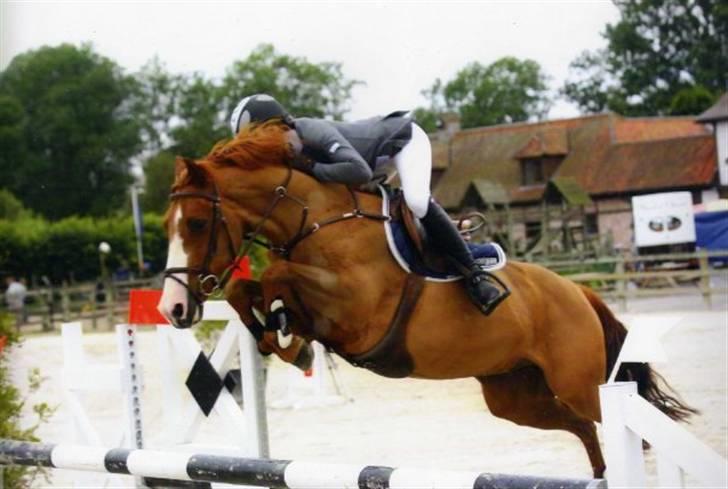 Anden særlig race Ulysse du Maron*Solgt :'( - Det er jo bare en rideskolepony ;D billede 15