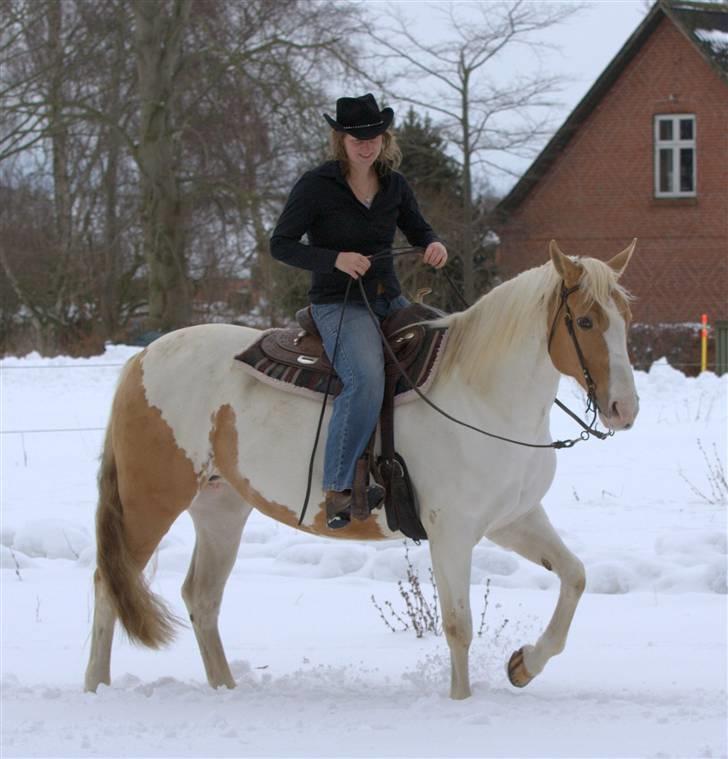 Paint Smokes Miss Jaynie billede 8