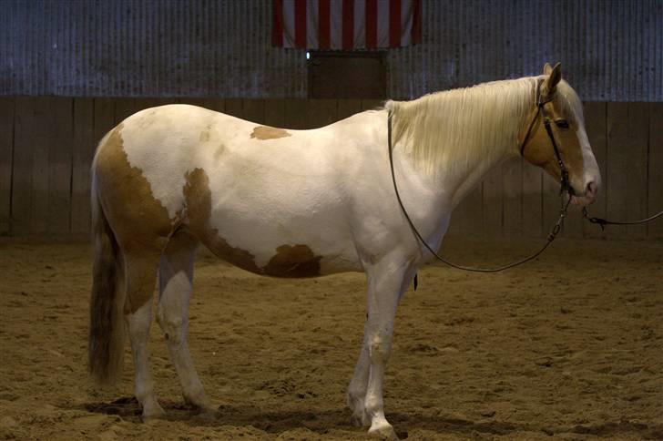 Paint Smokes Miss Jaynie billede 12