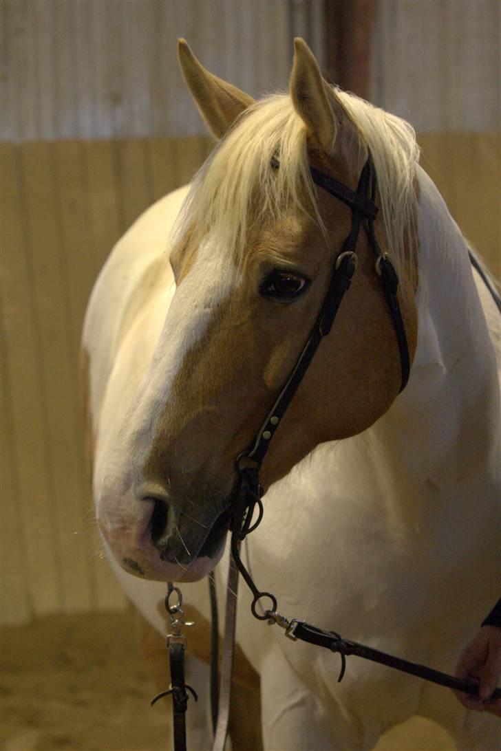 Paint Smokes Miss Jaynie billede 13