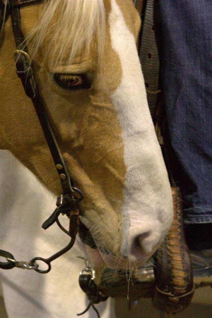 Paint Smokes Miss Jaynie billede 14