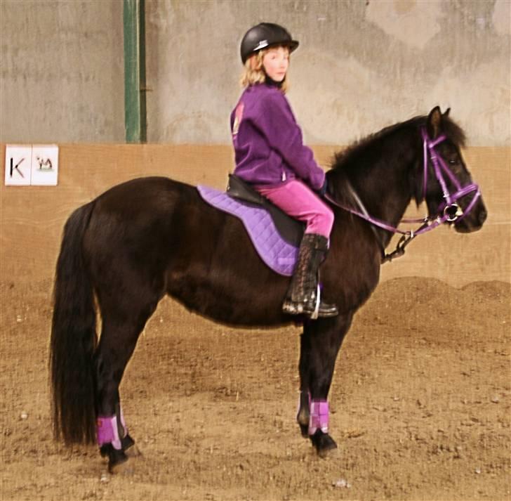 Anden særlig race Quite Beauty* solgt* billede 4