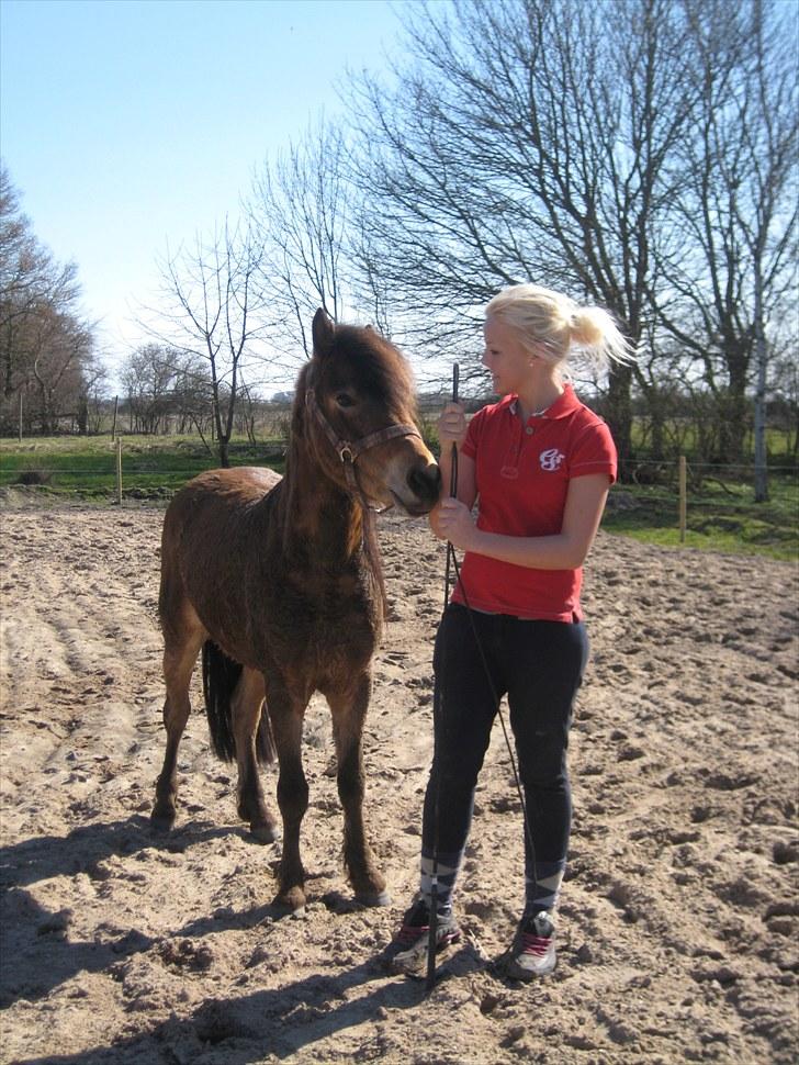 Anden særlig race tindals Cairo  solgt billede 1