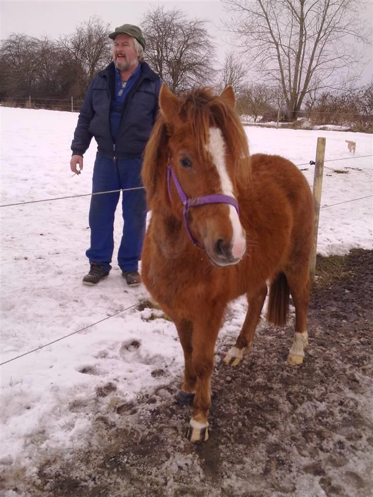 Anden særlig race Tindals Chili  solgt billede 2