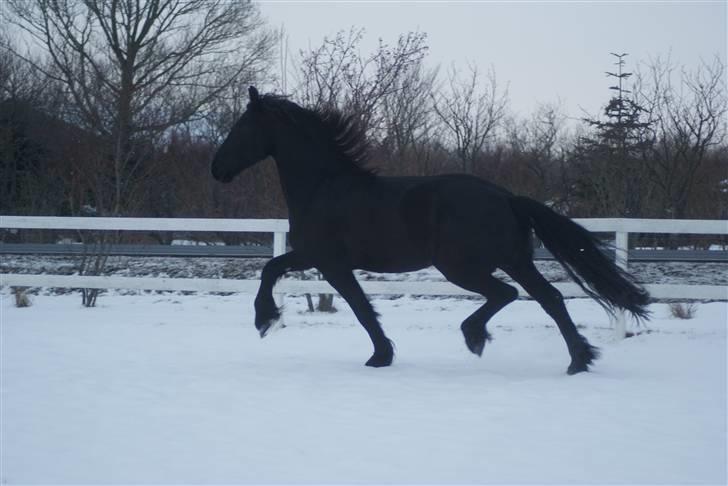 Frieser Tabasko Terplinggaard - Bamsen ude i snevejret(; billede 5