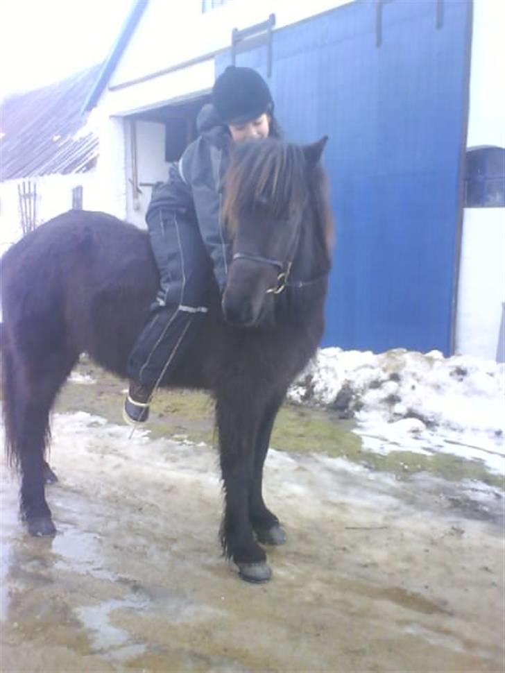 Islænder Gæfa billede 12