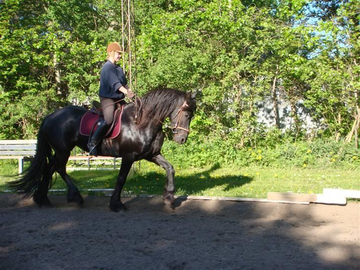 Frieser Eline Bouwkje B. billede 17