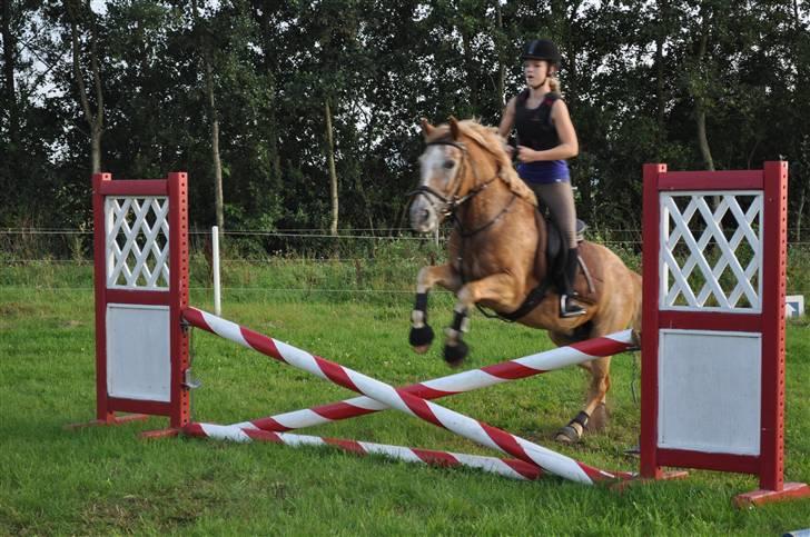 Anden særlig race Just Hugo Forever -part. - eve og hugo, spring. - sommeren 09 :D billede 8