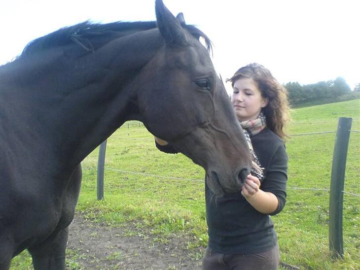 {{currentPhoto.altText}} billede {{currentPhoto.number}}