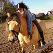 Anden særlig race Nordgaards Caroline.