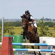 Anden særlig race Walther <3