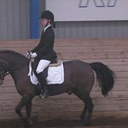 Anden særlig race Generalen