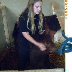 Anden særlig race lucky von lynegaard