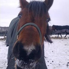 Traver | Kiara <3 *Part*