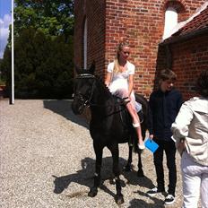 Anden særlig race Højgaardens Lukas (solgt)