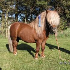 Shetlænder Sandro Hagenstrup (basse)